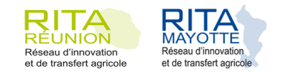 Logos Rita